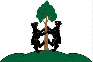 Návrh vlajky, obec Přimda