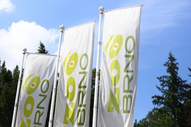 Vonkajšie tlačené vlajky pre Zoo Brno 